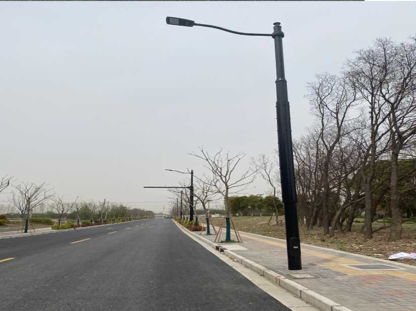南陵县上海综合杆 太阳能路灯工程